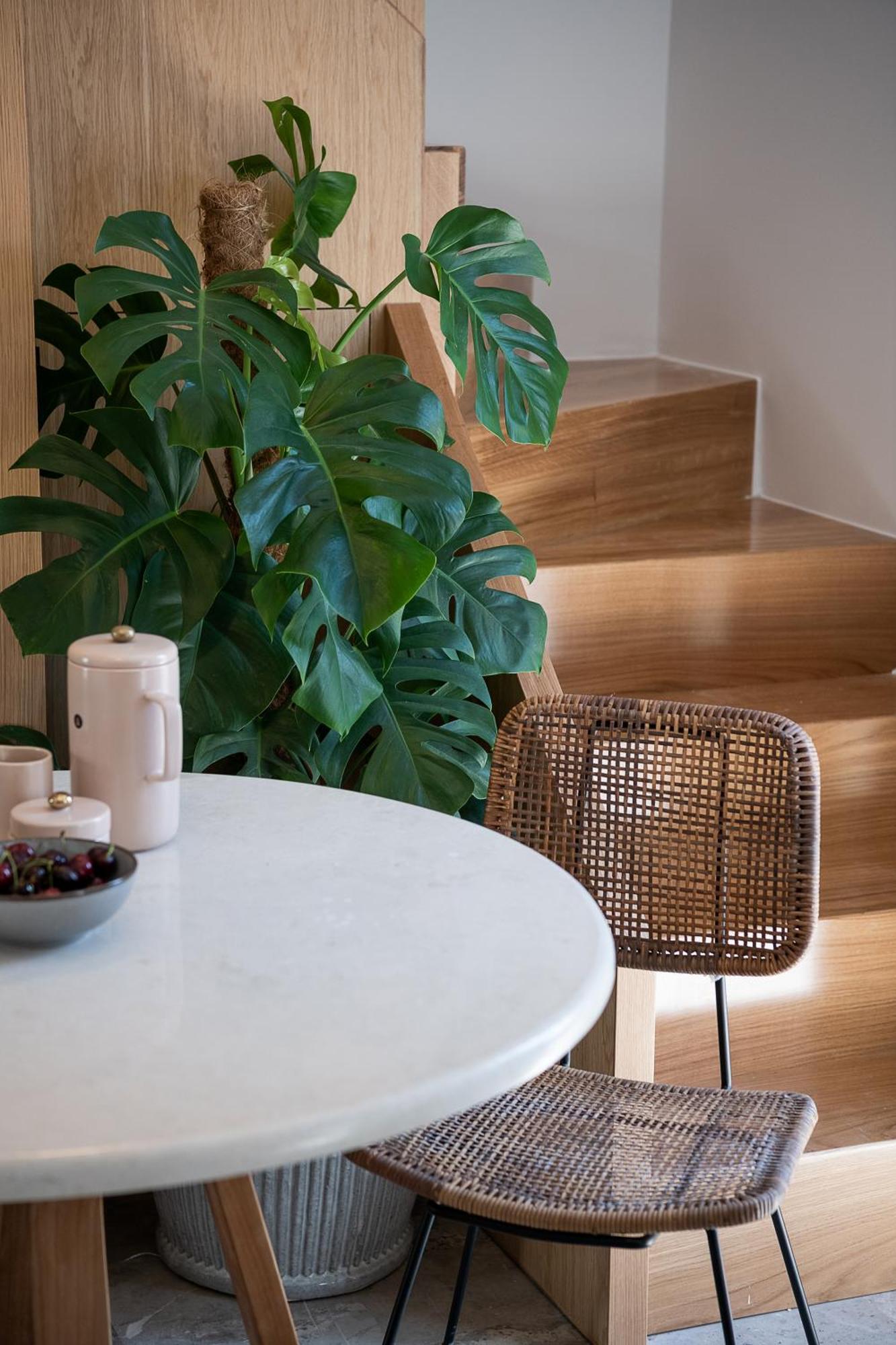 Domi Luxury By Cura Collection Apartament *
